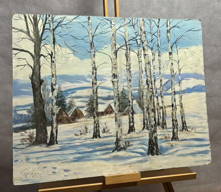 BŘEZOVÝ HÁJ ZA VSÍ V ZIMNÍ KRAJINĚ - PEŘINA JIŘÍ