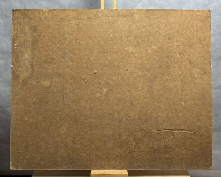 BŘEZOVÝ HÁJ ZA VSÍ V ZIMNÍ KRAJINĚ - PEŘINA JIŘÍ