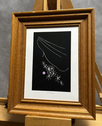 TVÁŘ A HVĚZDY - PETERKA FRANTIŠEK