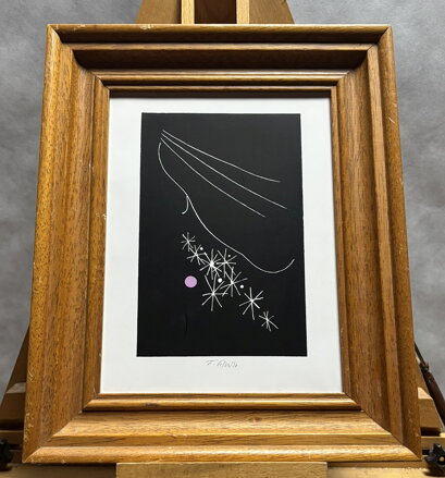 TVÁŘ A HVĚZDY - PETERKA FRANTIŠEK