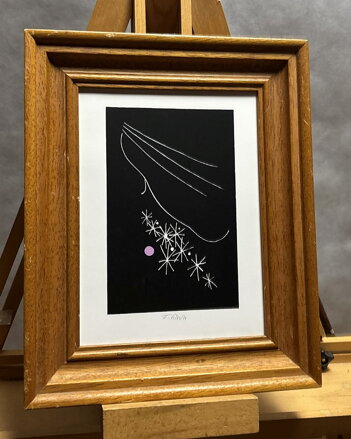 TVÁŘ A HVĚZDY - PETERKA FRANTIŠEK