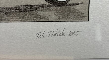 VESPA - PTÁČEK PETR