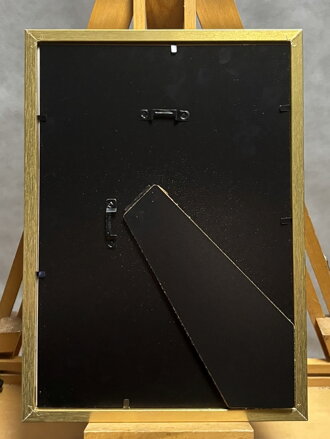 VESPA - PTÁČEK PETR