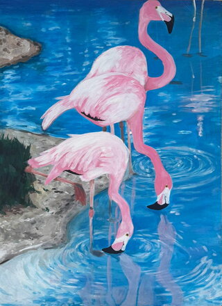 PLAMEŇÁCI - RŮŽOVÉ ZRCADLENÍ - NEZNÁMÝ AUTOR