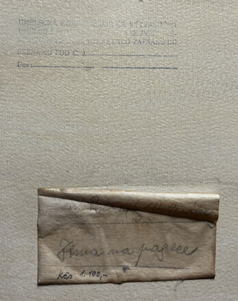 ZIMA NA PASECE - POLANSKÝ JAROSLAV