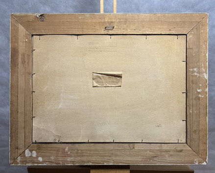 ZIMA NA PASECE - POLANSKÝ JAROSLAV