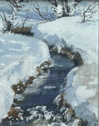 ŠUMAVA ZIMNÍ POTOK - POLATA KAREL