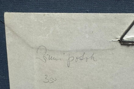 ŠUMAVA ZIMNÍ POTOK - POLATA KAREL