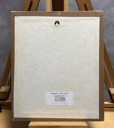 ŠUMAVSKÁ CHALUPA - POLATA KAREL