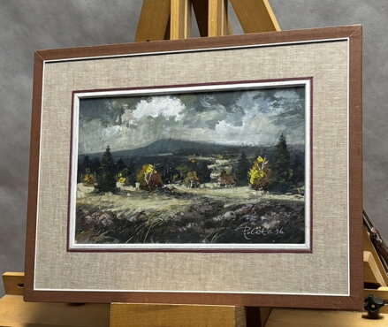 ŠUMAVSKÁ KRAJINA - POLATA KAREL