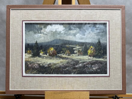 ŠUMAVSKÁ KRAJINA - POLATA KAREL