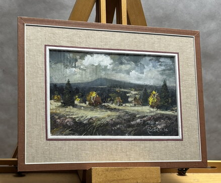 ŠUMAVSKÁ KRAJINA - POLATA KAREL