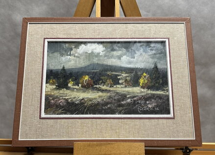 ŠUMAVSKÁ KRAJINA - POLATA KAREL