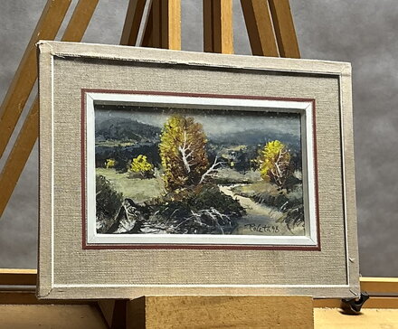 ŠUMAVSKÝ POTOK - POLATA KAREL