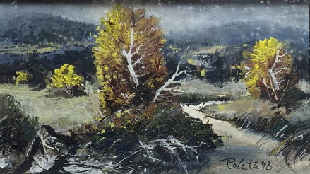 ŠUMAVSKÝ POTOK - POLATA KAREL