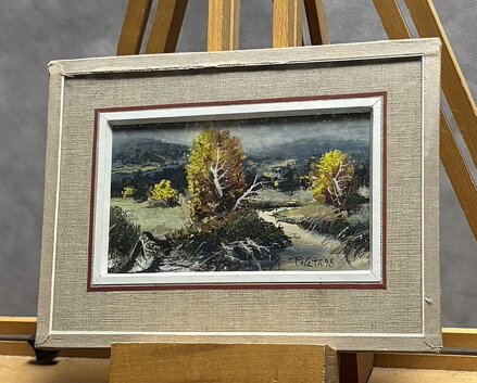 ŠUMAVSKÝ POTOK - POLATA KAREL