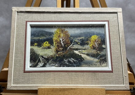 ŠUMAVSKÝ POTOK - POLATA KAREL