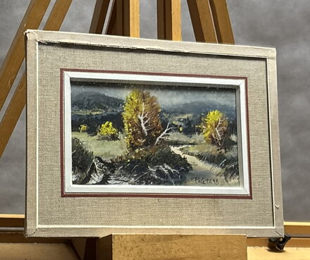 ŠUMAVSKÝ POTOK - POLATA KAREL