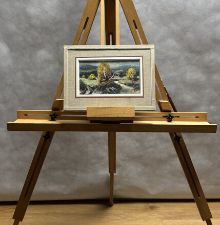 ŠUMAVSKÝ POTOK - POLATA KAREL