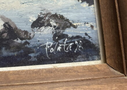 VYDRA - POLATA KAREL