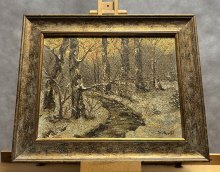 ZIMA U ŘEKY - POSPÍŠIL KAREL