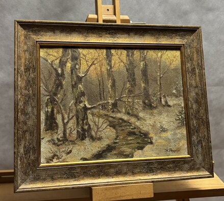 ZIMA U ŘEKY - POSPÍŠIL KAREL