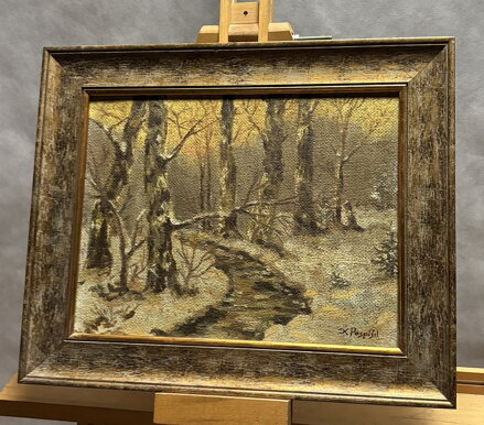 ZIMA U ŘEKY - POSPÍŠIL KAREL