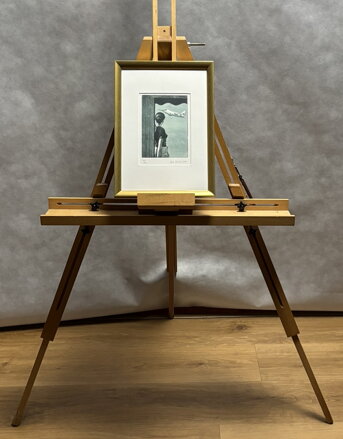 DÍVKA A STÍHAČKA - PTÁČEK PETR