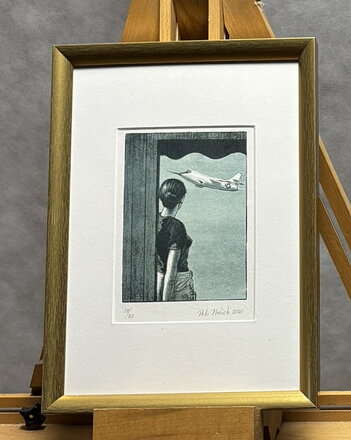 DÍVKA A STÍHAČKA - PTÁČEK PETR