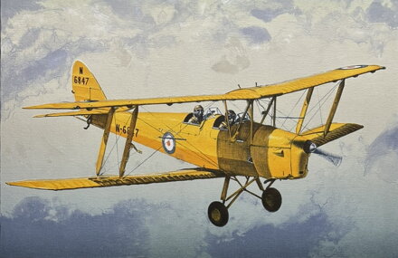 DVOUPLOŠNÍK TIGER MOTH - PTÁČEK PETR