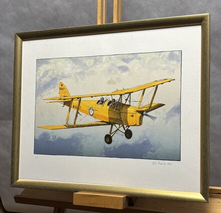 DVOUPLOŠNÍK TIGER MOTH - PTÁČEK PETR