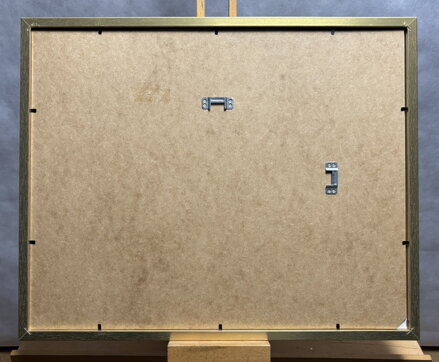 DVOUPLOŠNÍK TIGER MOTH - PTÁČEK PETR