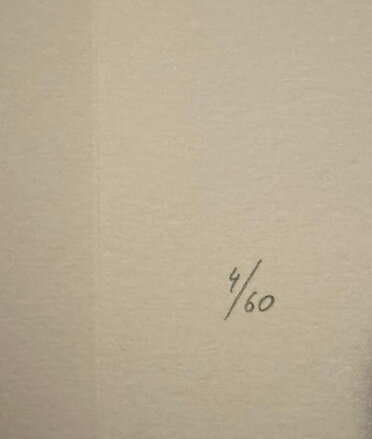 KOČKA - PTÁČEK PETR