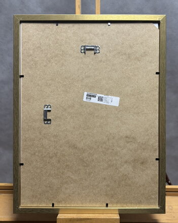 KOČKA - PTÁČEK PETR