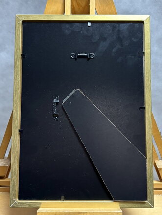 NA SKÚTRU - PTÁČEK PETR