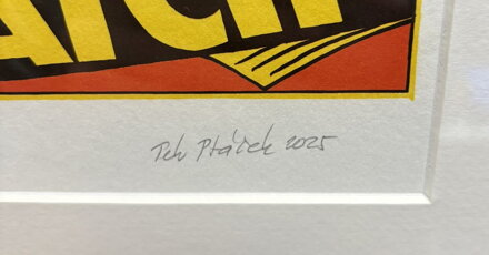 SAFETY MATCH DOUGLAS DC-2 - PTÁČEK PETR