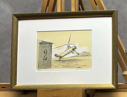 VÍRNÍK CIERVA - PTÁČEK PETR