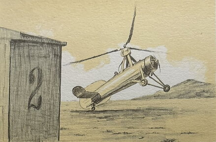 VÍRNÍK CIERVA - PTÁČEK PETR