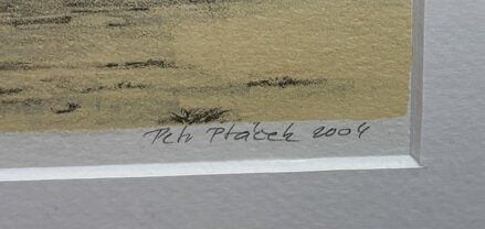 VÍRNÍK CIERVA - PTÁČEK PETR