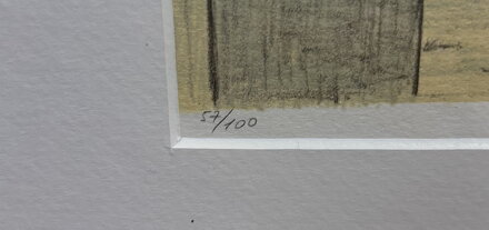 VÍRNÍK CIERVA - PTÁČEK PETR