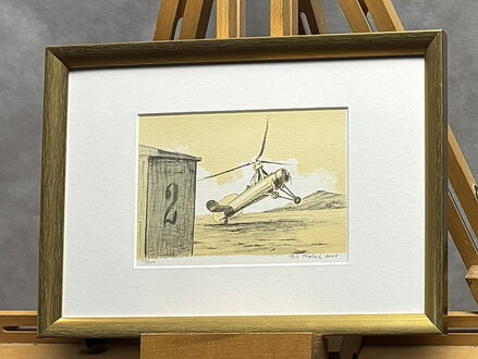 VÍRNÍK CIERVA - PTÁČEK PETR