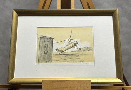 VÍRNÍK CIERVA - PTÁČEK PETR