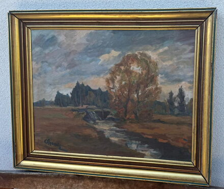 POTOK V KRAJINĚ - ŘEBÍČEK LADISLAV