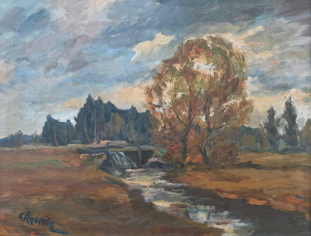 POTOK V KRAJINĚ - ŘEBÍČEK LADISLAV