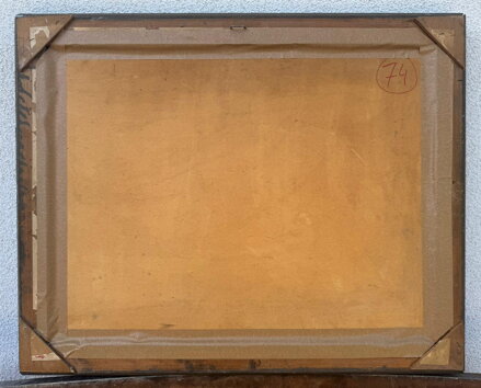 POTOK V KRAJINĚ - ŘEBÍČEK LADISLAV