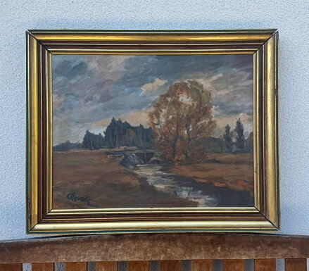 POTOK V KRAJINĚ - ŘEBÍČEK LADISLAV