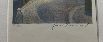 PRAHA STARÉ STŘEŠOVICE V OKOLÍ ULICE U ZDEŇKA ŠTĚPÁNKA - REINEROVÁ JANA