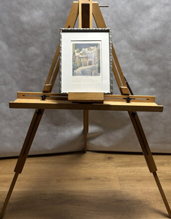 PRAHA STARÉ STŘEŠOVICE V OKOLÍ ULICE U ZDEŇKA ŠTĚPÁNKA - REINEROVÁ JANA