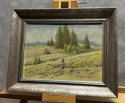 BAŽANTI NA STRÁNI - REJLEK