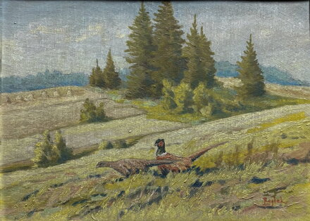 BAŽANTI NA STRÁNI - REJLEK